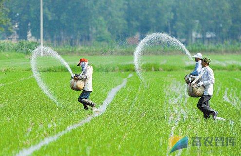 水稻移栽后何时追肥？