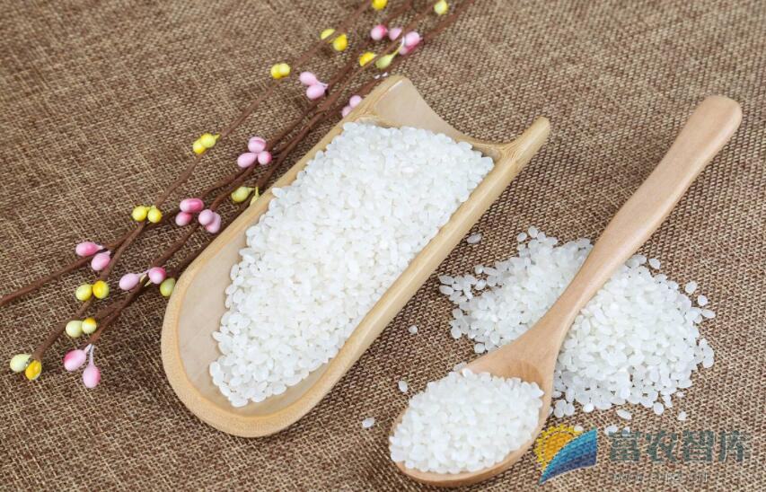 什么是有机大米、功能性大米和精洁米？