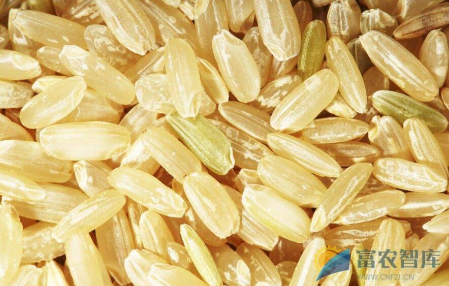 有色稻米（糙米）有什么营养价值？