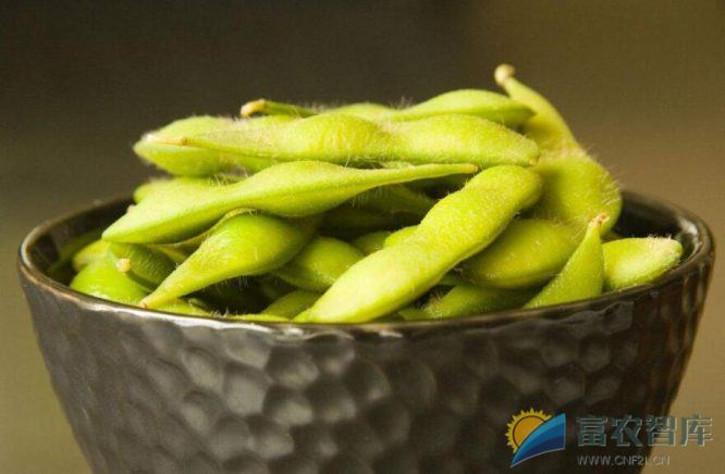 上海的鲜食毛豆有哪些新品种?-富农智库