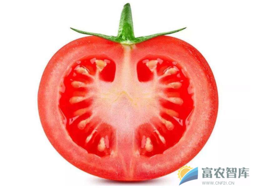 番茄空洞果是什么原因造成的？