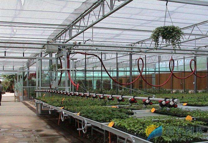 蔬菜工厂化育苗有哪些优点?-富农智库