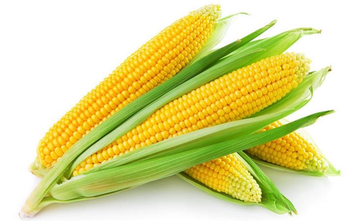 鲜食玉米主要有哪些品种？