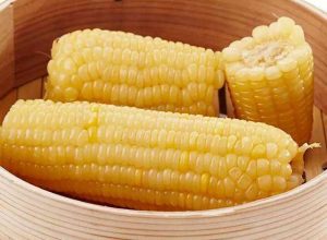 如何选择糯玉米品种?-富农智库
